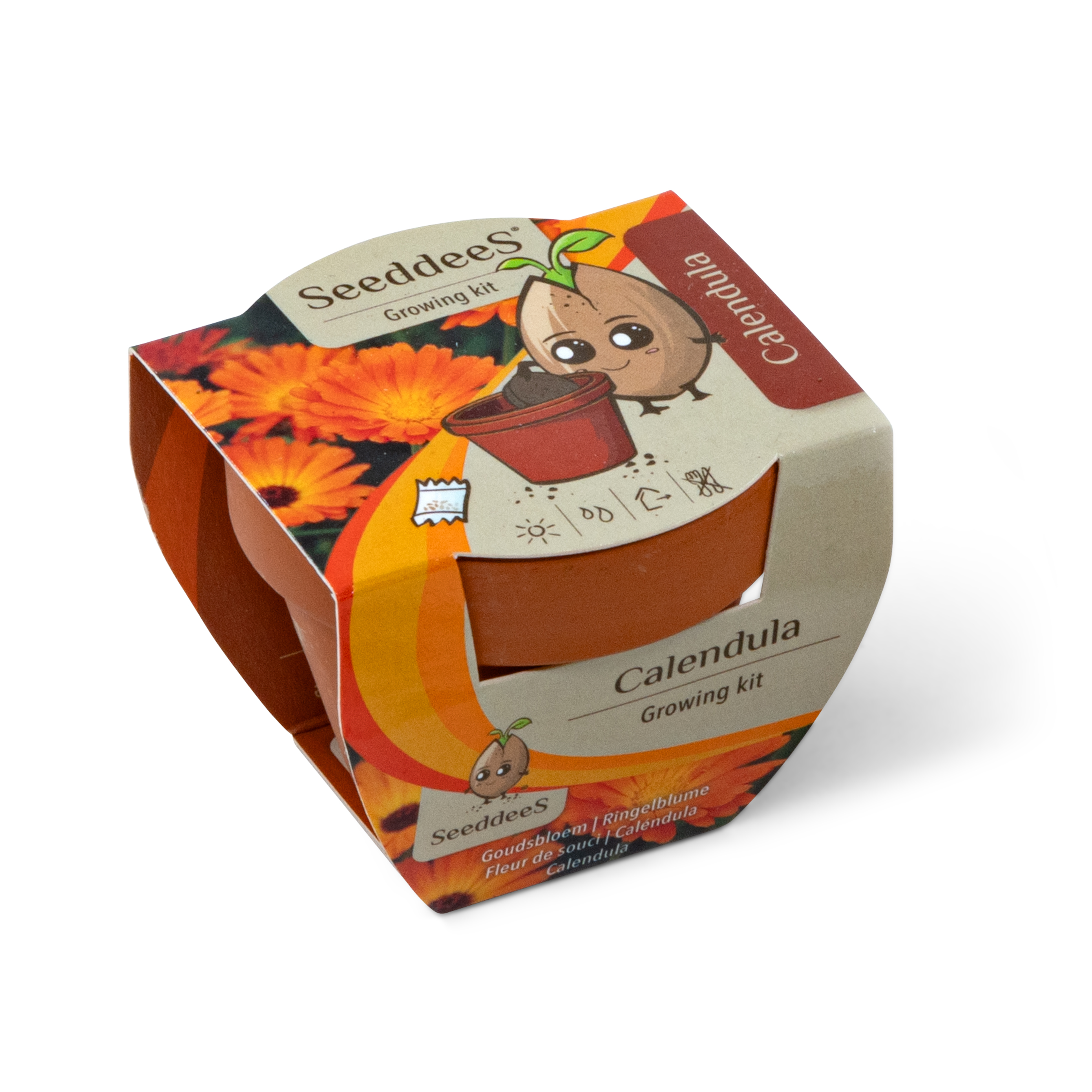 SeeddeeS kweekset terracotta pot - Goudsbloem